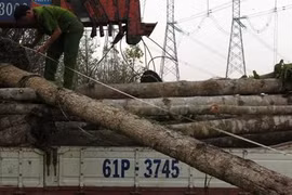 Mất điện toàn miền Nam: Thêm 2 đối tượng liên quan