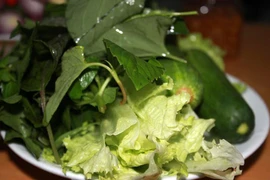 97% rau sống nhiễm giun, sán, thuốc trừ sâu