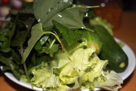 97% rau sống nhiễm giun, sán, thuốc trừ sâu