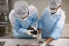 “Đắt khét lẹt” trứng cá tầm muối 50 triệu đồng/kg 