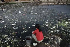 Người Trung Quốc đầu độc lẫn nhau