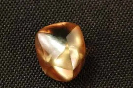 May mắn nhặt được kim cương trên cánh đồng