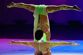 Chiêm ngưỡng những màn xiếc nhào lộn tuyệt vời