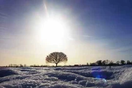 Bộ ảnh đẹp về chủ đề ánh sáng ban ngày