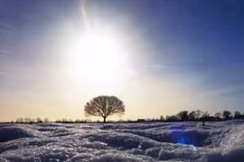 Bộ ảnh đẹp về chủ đề ánh sáng ban ngày