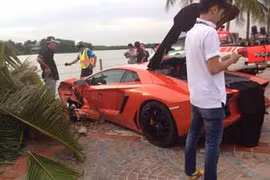 Siêu xe Lamborghini Aventador “đọ sức” với... cây 