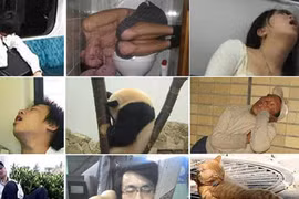 Những tư thế ngủ hài hước