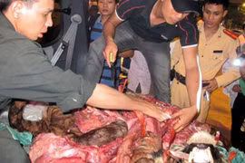 Bắt quả tang “lò mổ lợn” trên xe tải