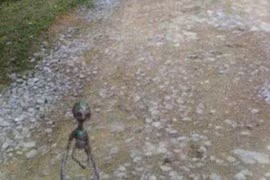 Sự thật ngỡ ngàng về “người ngoài hành tinh” ở VN