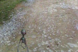 Sự thật ngỡ ngàng về “người ngoài hành tinh” ở VN