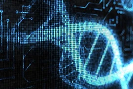 Độc đáo máy tính sinh học “sống” trong cơ thể người