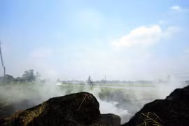 Đến hẹn, lại đốt rơm “hun khói” thủ đô