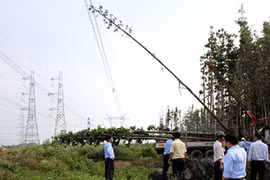 Tập đoàn Điện lực vô can vụ toàn miền Nam mất điện?