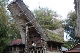 “Hot“: Nhà sàn Indonesia giống hệt hình vẽ trống đồng Việt Nam