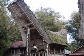 “Hot“: Nhà sàn Indonesia giống hệt hình vẽ trống đồng Việt Nam