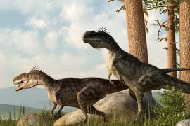 “Sởn gai ốc” trước quái vật “khủng” nhất hành tinh (2)