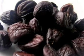 “Vàng đen” bạc triệu mê mẩn dân nhậu Việt