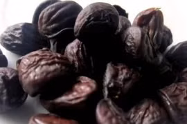 “Vàng đen” bạc triệu mê mẩn dân nhậu Việt