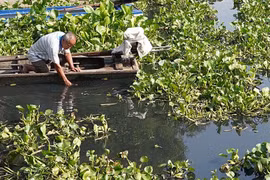 Tây Ninh phạt hai doanh nghiệp xả thải ra sông Vàm Cỏ Đông 1,6 tỉ đồng