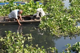 Tây Ninh phạt hai doanh nghiệp xả thải ra sông Vàm Cỏ Đông 1,6 tỉ đồng