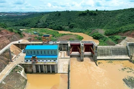 Vi phạm môi trường, Công ty điện Bình Thủy Lâm Đồng bị phạt 300 triệu đồng