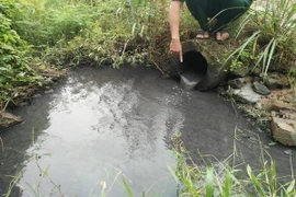 Công ty TNHH Japfa Comfeed Việt Nam xả nước thải vượt quy chuẩn ra môi trường