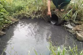 Công ty TNHH Japfa Comfeed Việt Nam xả nước thải vượt quy chuẩn ra môi trường