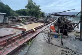 Khai thác cát trái phép, một cá nhân bị xử phạt 175 triệu đồng