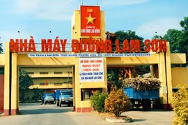 Thanh Hoá: Công ty Cổ phần Mía đường Lam Sơn bị phạt 100 triệu đồng