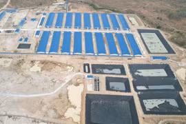 Trang trại gần 5.600 con heo hoạt động không có giấy phép môi trường