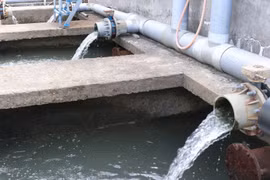 Gây ô nhiễm môi trường, Cty Hài Mỹ Phú Thọ bị phạt hơn 470 triệu đồng