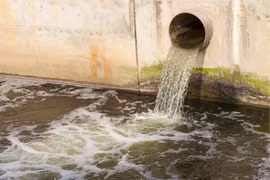 Bà Rịa – Vũng Tàu: Xử phạt 255 triệu đồng với Công ty TNHH Long Quân