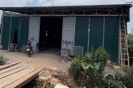 Khởi tố 2 đối tượng cố tình xây dựng xưởng trên đất nông nghiệp