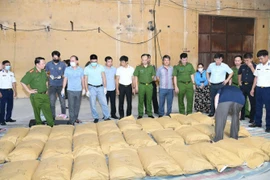 Triệt phá đường dây ma túy "khủng" dưới vỏ bọc bao xi măng