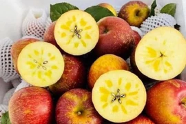 Táo mật Trung Quốc giá rẻ ngập chợ