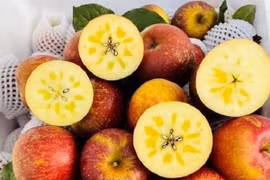 Táo mật Trung Quốc giá rẻ ngập chợ