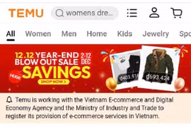 Temu tạm dừng hoạt động, người tiêu dùng lo lắng
