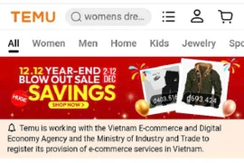 Temu tạm dừng hoạt động, người tiêu dùng lo lắng