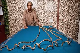 "Đứng hình" với những chuyện lạ đời nhất 2015