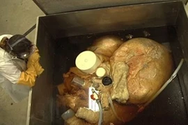 Cận cảnh ướp trái tim khổng lồ của cá voi xanh