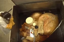 Cận cảnh ướp trái tim khổng lồ của cá voi xanh