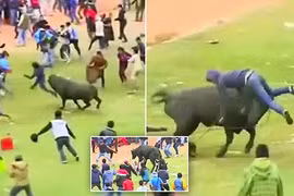 Rùng mình cảnh bò nổi điên, làm loạn trong lễ hội