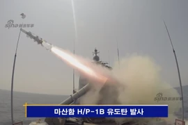  Mục kích tên lửa “khủng” của Hàn Quốc hủy diệt tàu chiến