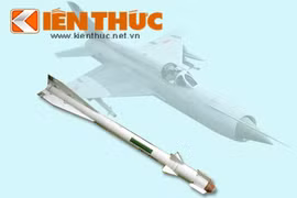 Infographic: Kho tên lửa mạnh mẽ của Việt Nam (6)