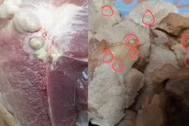 Nếu ấn một ngón tay xuống miếng thịt lợn thấy điều này thì chớ dại mua