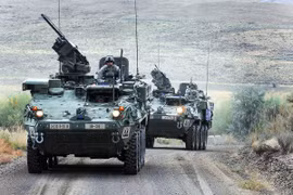 Quân đội Thái Lan đặt mua 37 xe bọc thép Stryker của Mỹ