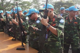 Loạt biến thể súng Pandad SS2 của lính Gìn giữ Hòa bình Việt Nam