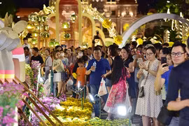 Du khách trắng đêm tham quan đường hoa Nguyễn Huệ trong đêm khai mạc