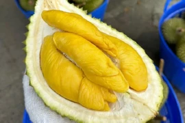 “Vua” sầu riêng “xuống ngôi” trên thị trường Việt Nam vì sao?