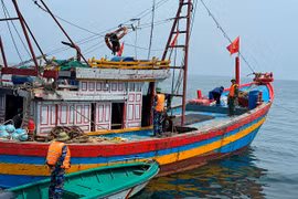 Xét xử nghiêm các vụ đánh bắt thủy sản bất hợp pháp từ ngày 1/8